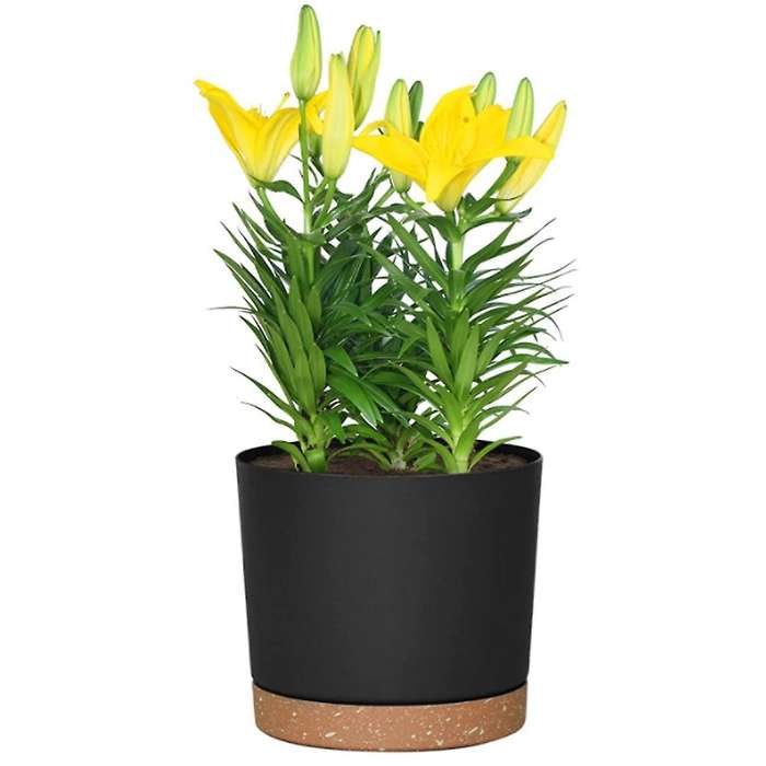 Diameter 16.5 Cm Flower Pots, Set Of 6, Self-watering Plastic Planter