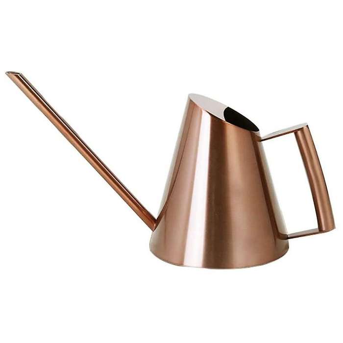 50 Oz/1500 Ml Stainless Steel Watering Can Pot for House Plants