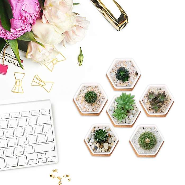 Simple White Creative Ceramic Small Hexagonal Plant Succulent