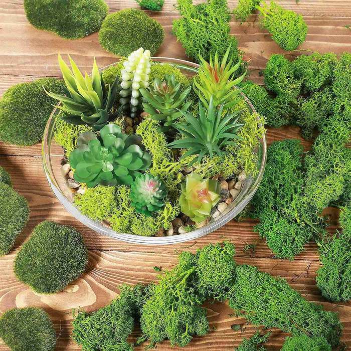 300g Moss Green Immortal Artificial Decorative Moss 3-color Mixed,b