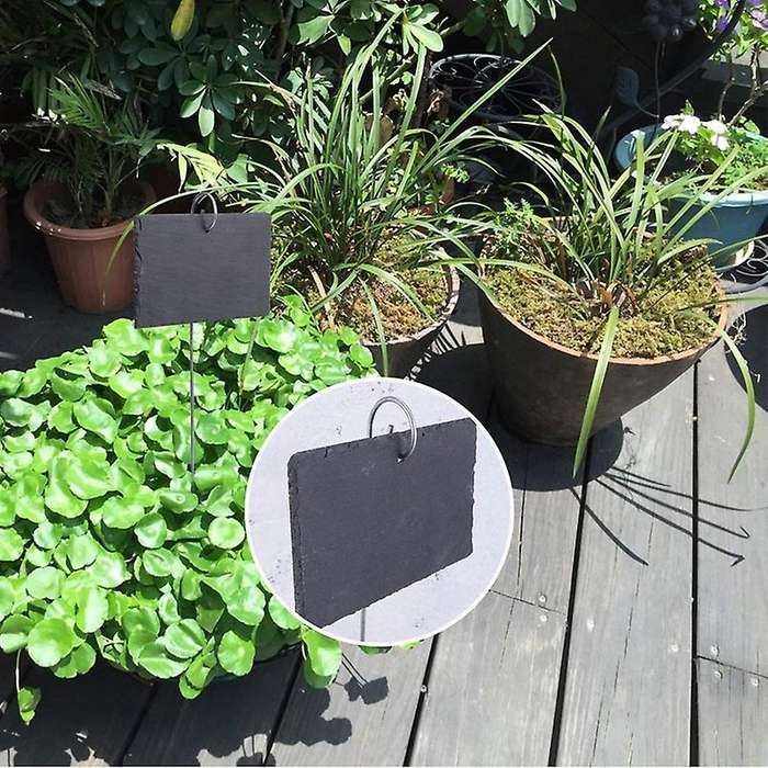 10pcs Plant Label Garden Markers Signs Weatherproof On for Planters