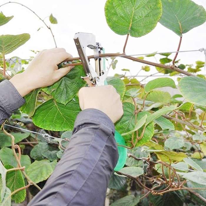 Plant Tying Machine,garden Plant Tool for Vineyard,plant Agriculture