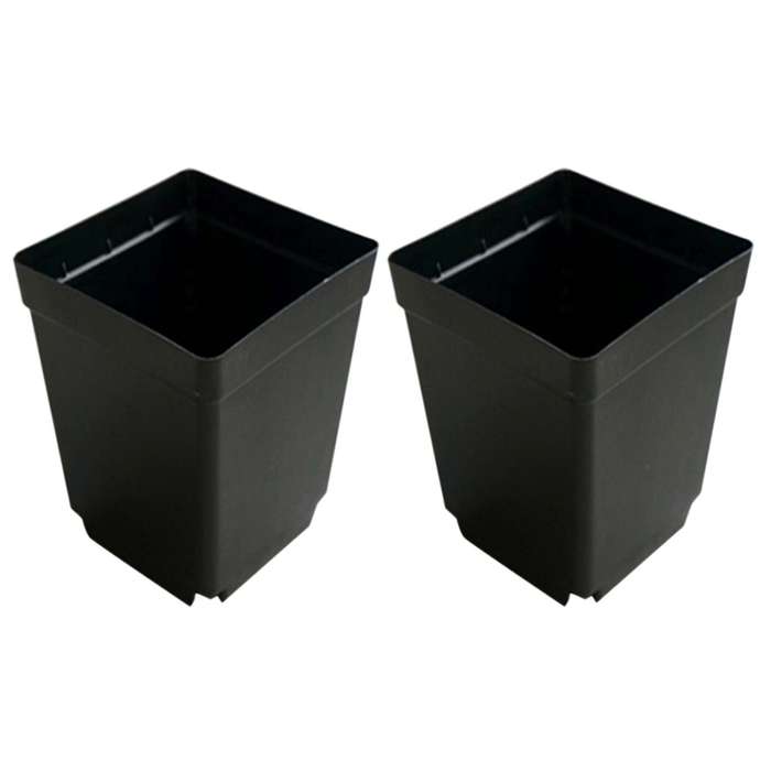 100pcs Plant Disposable Flower Pot Small Black Square Plastic