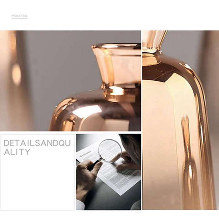 Nordic Electroplated Gold Vase for Home Decor Dried Flower Bottle