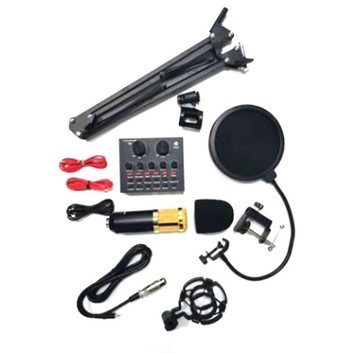 Bm800 Microphone Kit Studio with V8 Sound Card (gold)