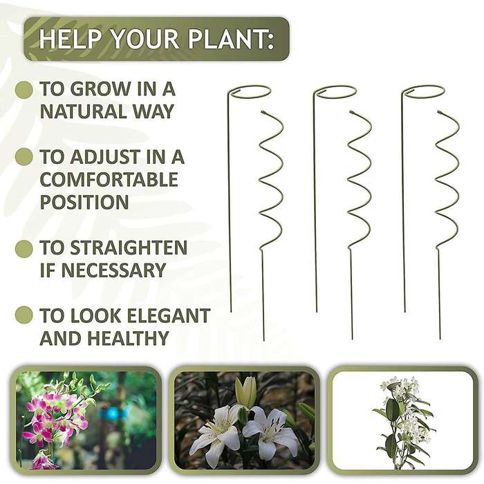 Climbing and Stem Plant Support Stakes - 16 Inches 3X Single Stem Flower Stakes and 3X Spiral Plant