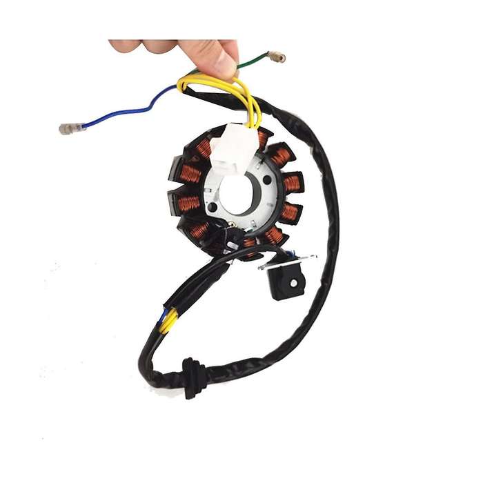 Coil 12 Pole Stator Dc Coil Ignition Stator for Gy6 125cc 150cc
