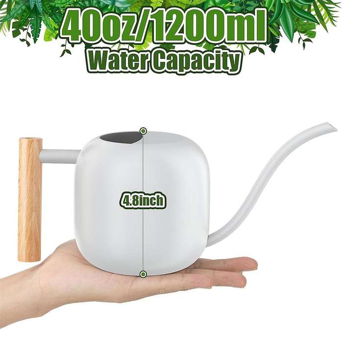 Water Can Indoor Plant 1.2L/41Oz with Long Spout Small Water Can Metal Watering Can Pot for Indoor H