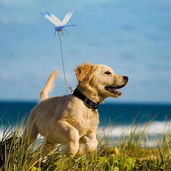 Waterproof Dragonfly Clip Set 3pcs for Outdoor Garden Decoration Weather-Resistant with Strong Grip
