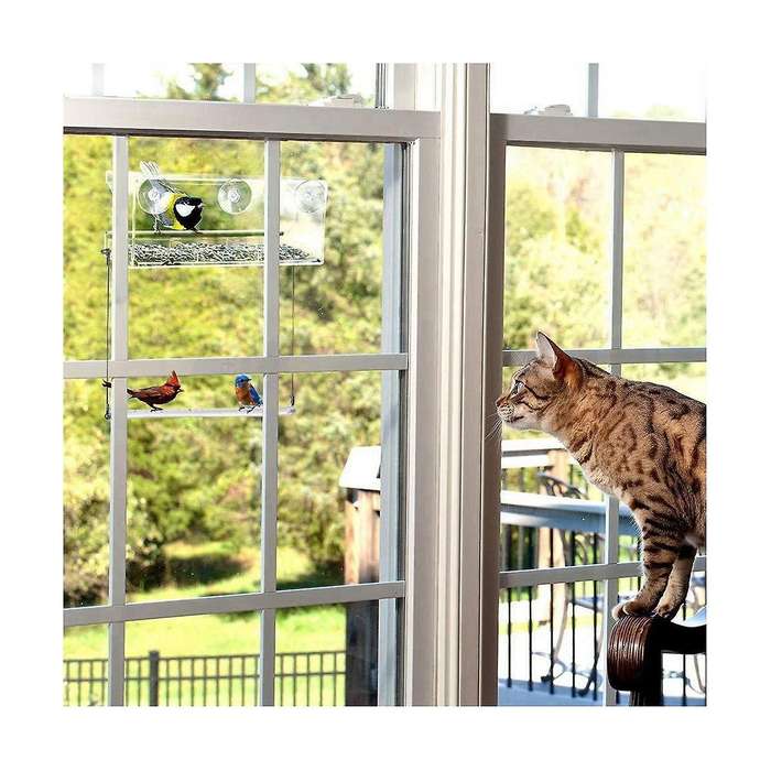 Window Weatherproof Outdoor Suction Cup Hanger Window with 3 Section Tray and Roof Cover