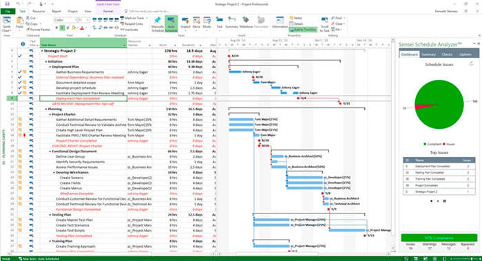 Microsoft Project 2016 Professional