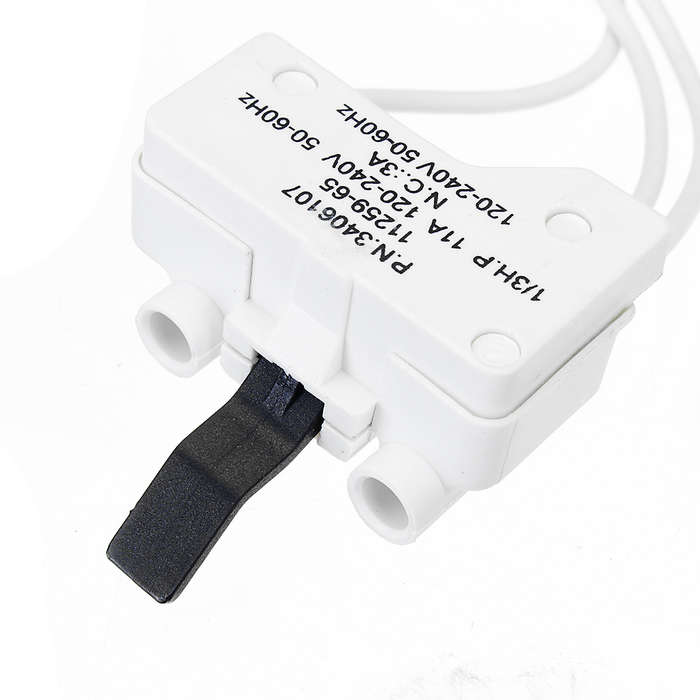 Dryer Door Switch