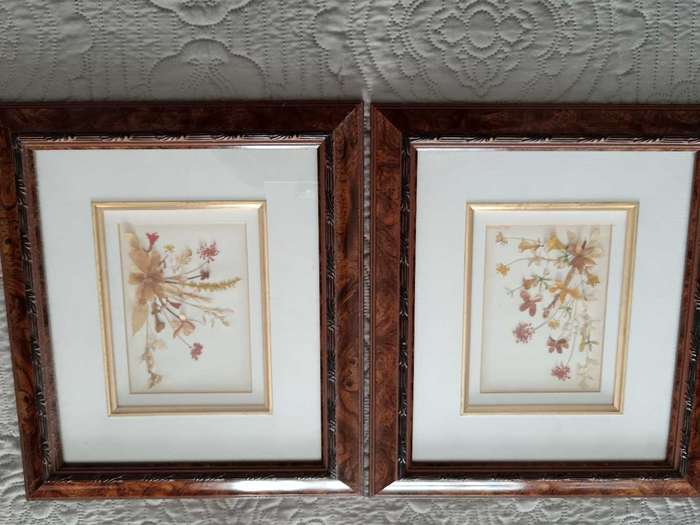 Pair of Beautifully Framed Pressed Botanical Flower Pictures