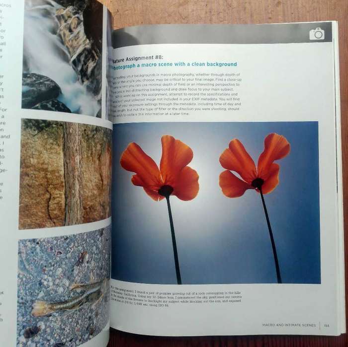 The Complete Guide to Nature Photography by Sean Arbabi