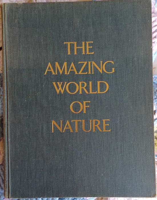 The amazing world of nature