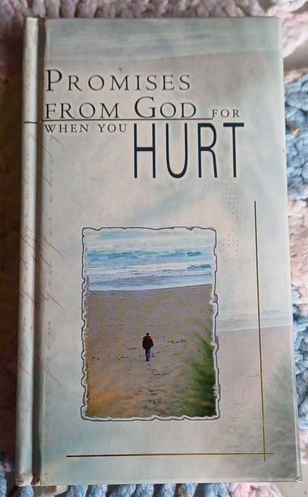 Promises from God for when you hurt