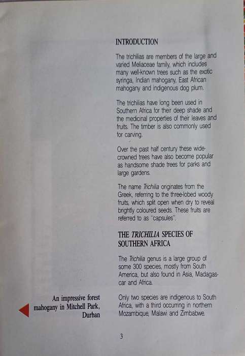 Tree of the year 1991 - pamphlet 428