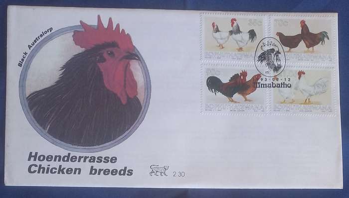 First day envelope - Chicken breeds