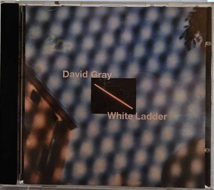David Gray White Ladder   (175)
