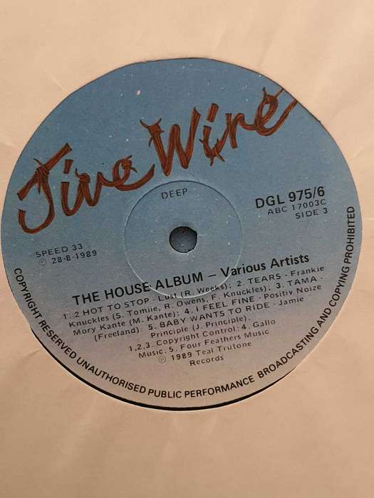 THE HOUSE ALBUM - 20 HOT DJ TRAX - VINYL 2 LP RECORD
