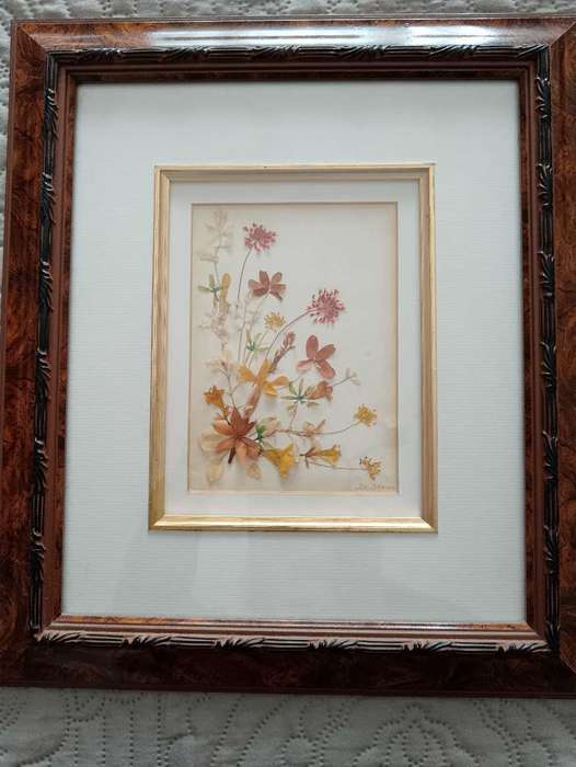Pair of Beautifully Framed Pressed Botanical Flower Pictures