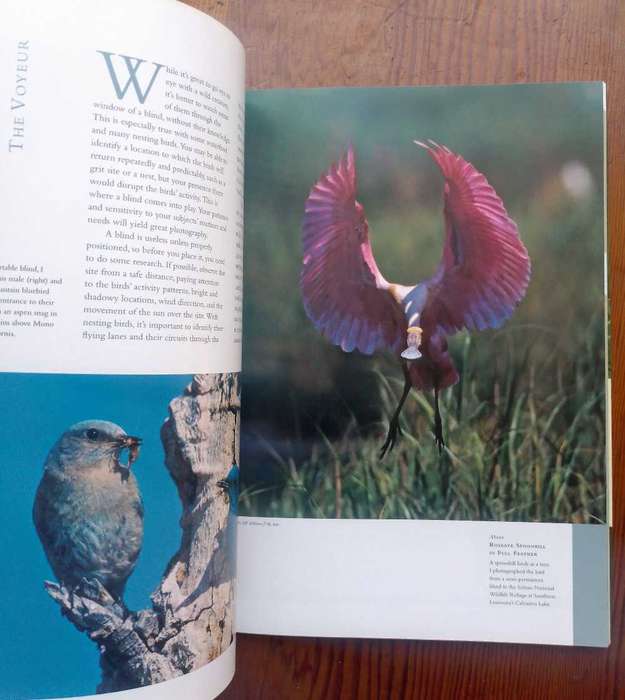 Wildlife Photography - Stories from the Field by George Lepp