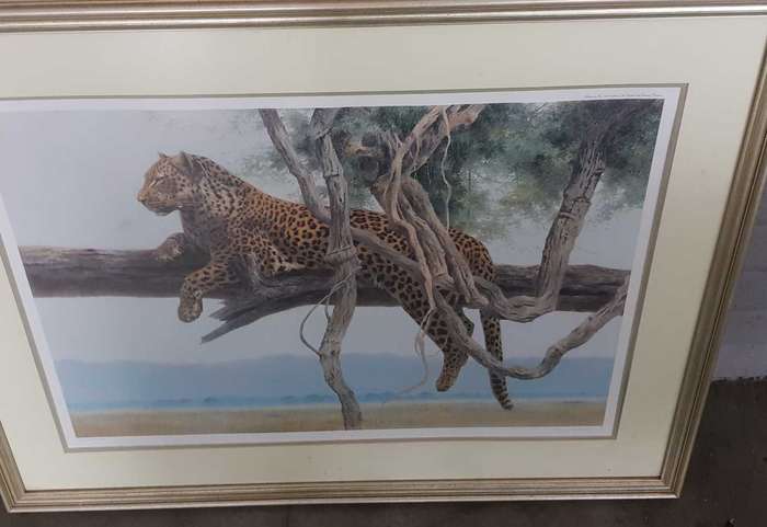 AFRICANA LITHO LEOPARD BY KIM DONALDSON LITHO