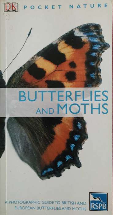 Butterflies and Moths,Pocket Nature