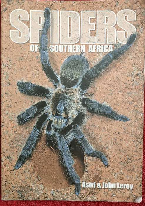 Spiders of Southern Africa