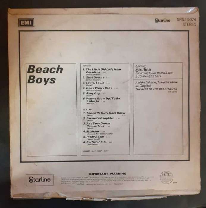 The Beach Boys - Beach Boys LP Vinyl Record