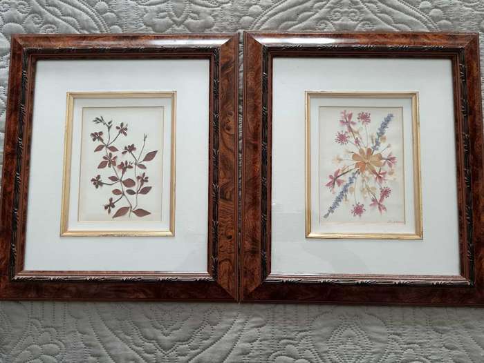 Pair of Pressed botanical flower pictures