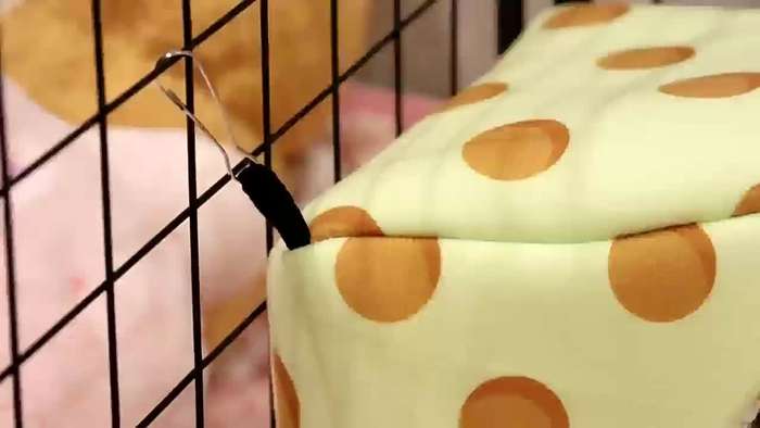 Pet supplies color Dot triangle nest