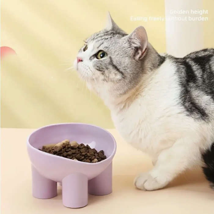 Pet Supplies Color Assorted Varieties Quantity 4 Piece Set