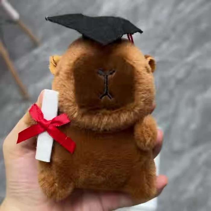 Toy Dolls color Dark Brown Style Doctor Capybara