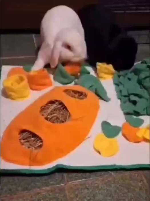 Pet Supplies Size 61 X 51Cm Items Small Pet Feeding Mat