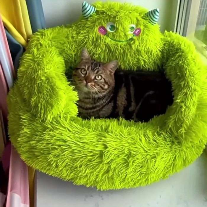 Pet supplies Style Little Monster