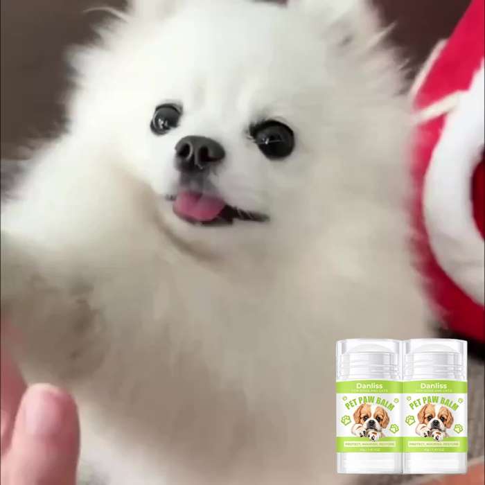 Pet supplies Quantity 1pc