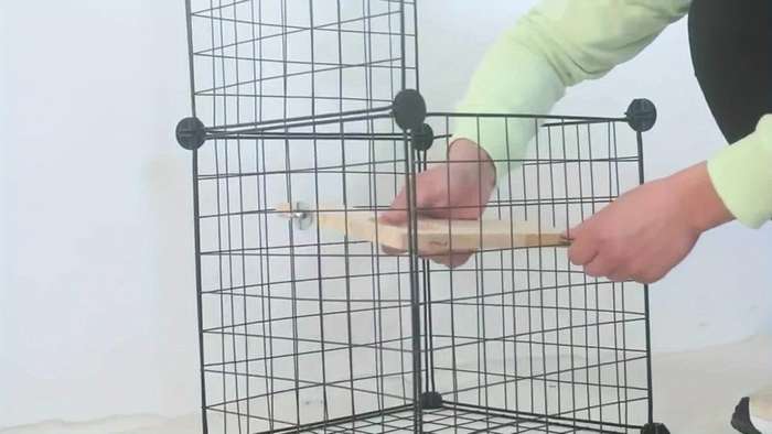 Pet Supplies Color 5 Piece Set