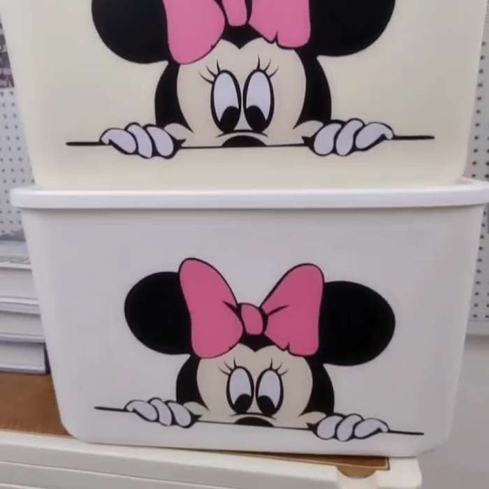 Storage And Organizationcolor Mickey Pure White