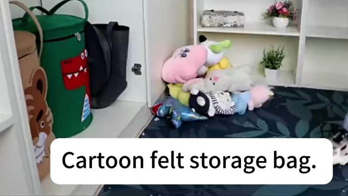 Storage And Organizationcolor Lion