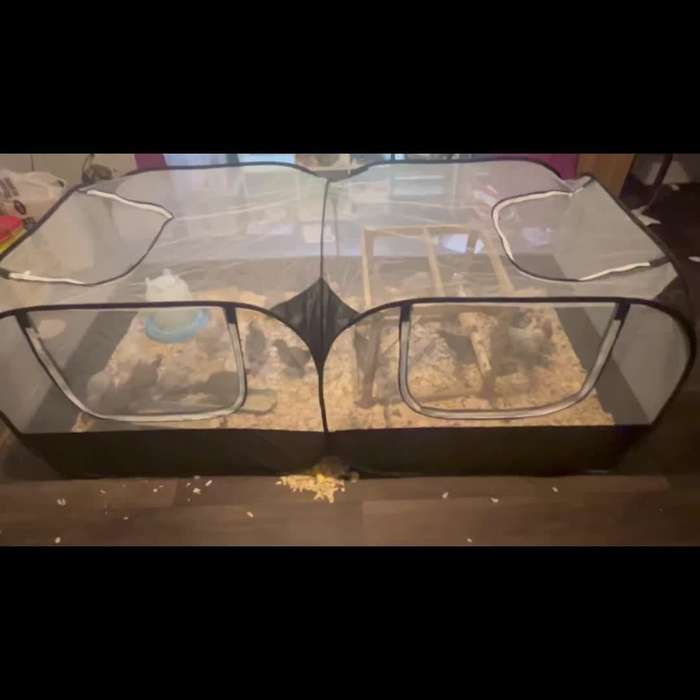 Pet Supplies Color Black Size 185 X 91Cm  72.8 X 35.8In