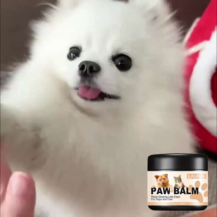 Pet supplies Capacity 50g