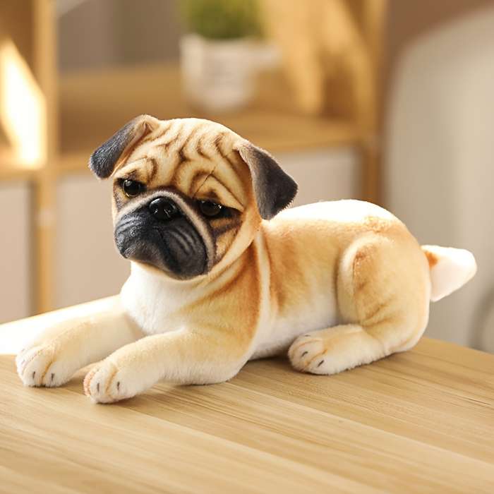 Toy Doll Style Akita