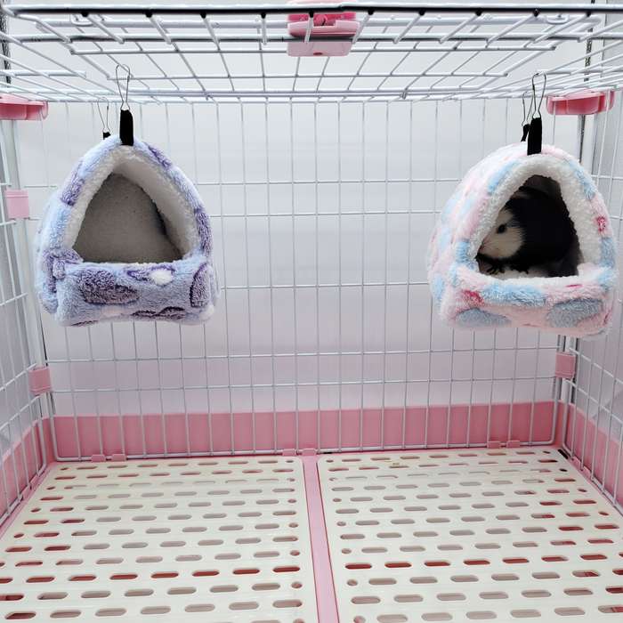Pet supplies size M