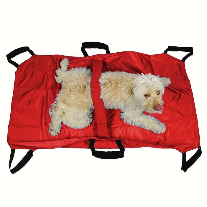 Pet Supplies Color Red