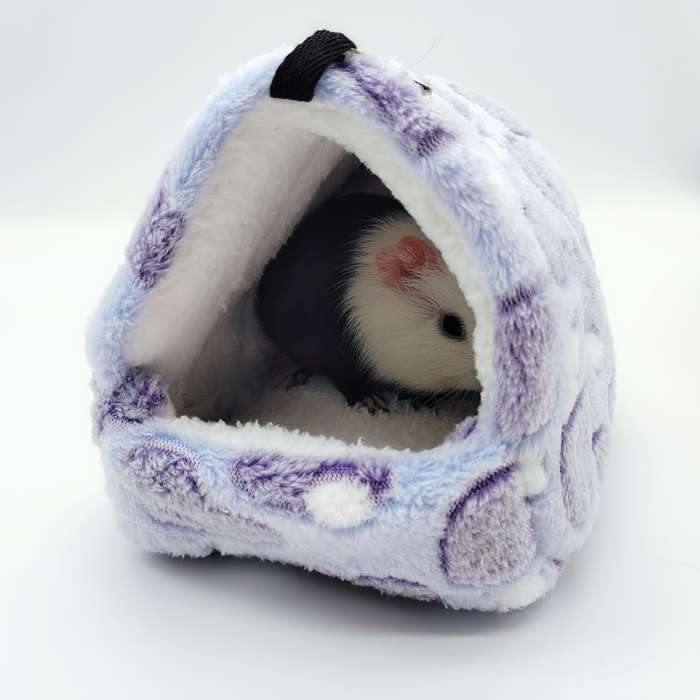 Pet supplies size M