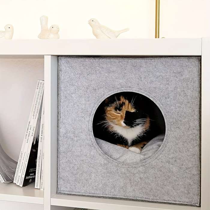 Pet supplies color grey