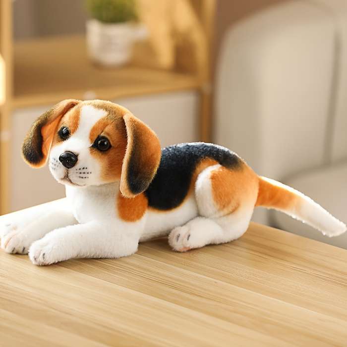 Toy Doll Style Akita