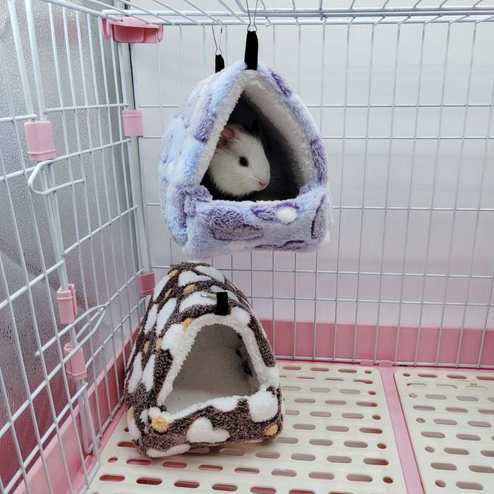 Pet supplies size M