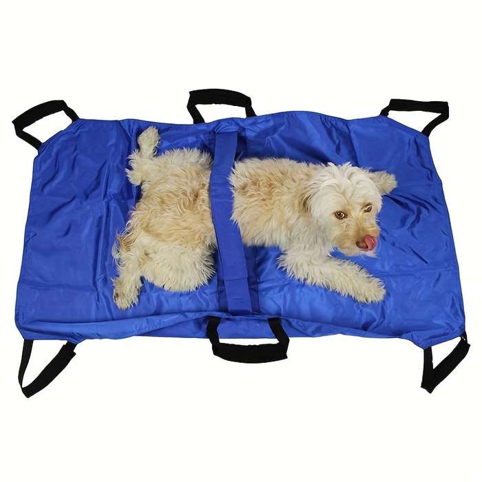 Pet Supplies Color Red